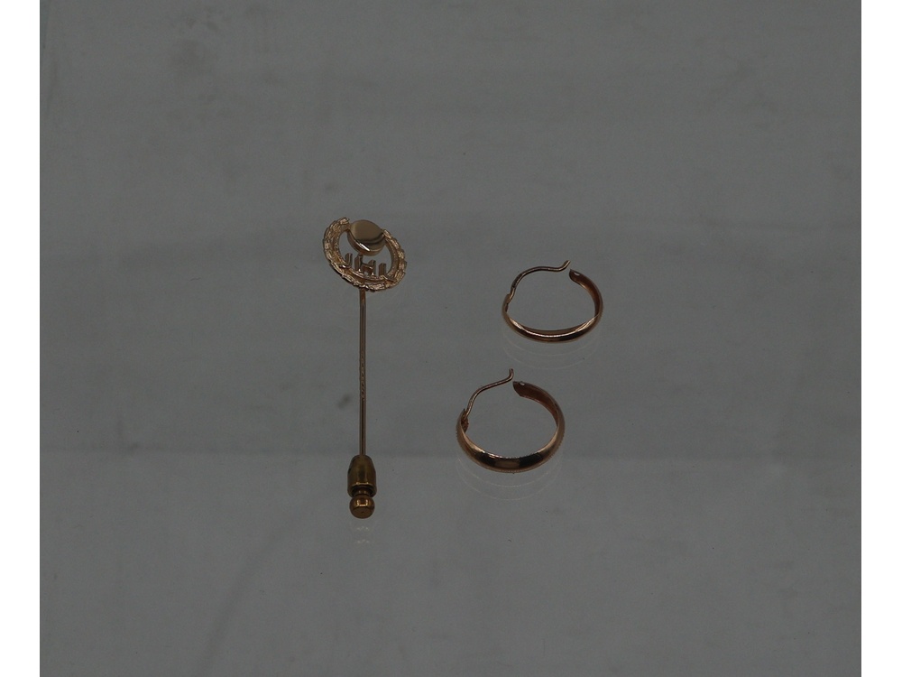 Rintaneula ja korvakorut 3,33G/14k